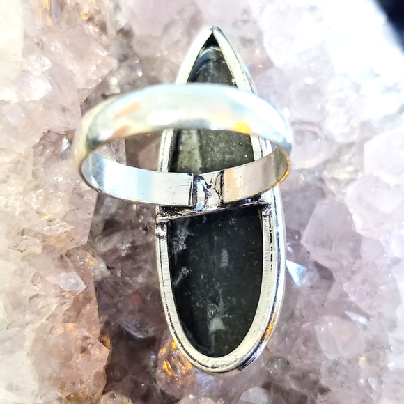 💚2 for $40💚NWOT Natural Orthoceras Fossilized Stone .925 Sterling Overlay Ring - Picture 8 of 12